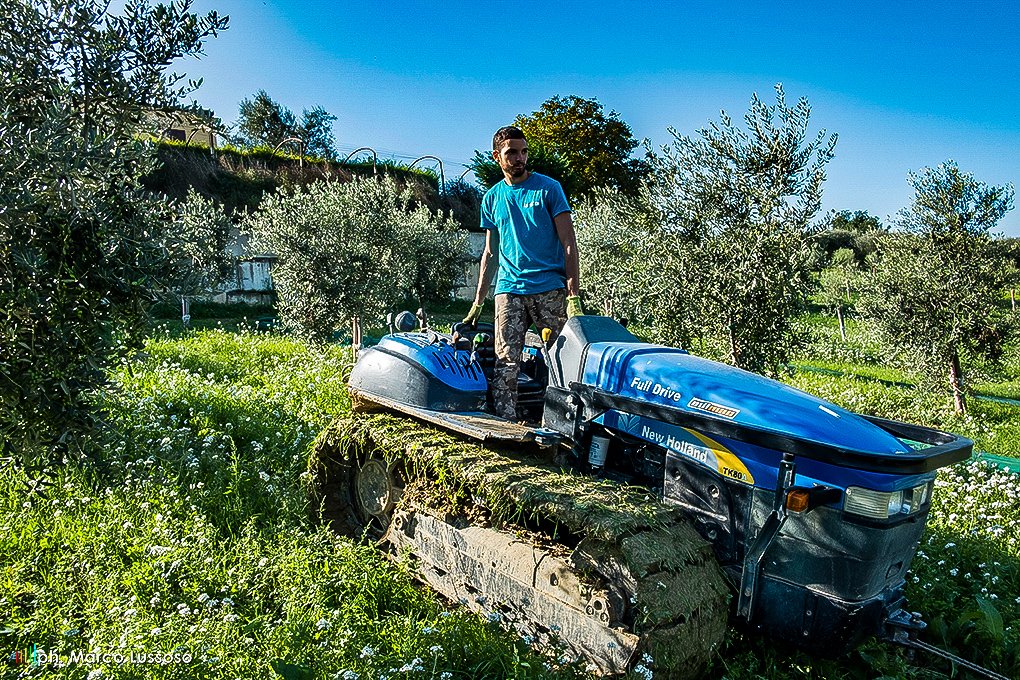 Francesco Bruno Rubini